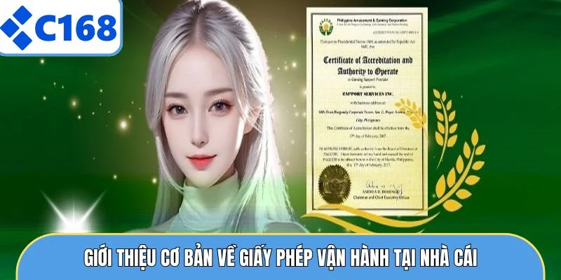 GIẤY PHÉP HOẠT ĐỘNG 4 Giới thiệu cơ bản về giấy phép vận hành tại nhà cái