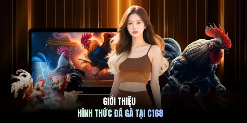Giới thiệu hình thức đá gà tại C168