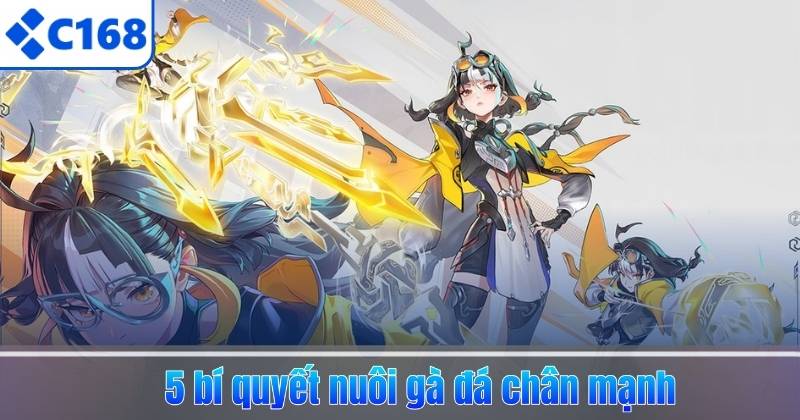 5 bí quyết nuôi gà đá chân mạnh