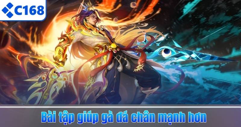 Bài tập giúp gà đá chân mạnh hơn